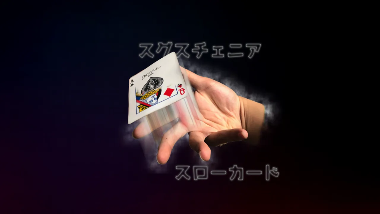 スグスチェニア・スローカード